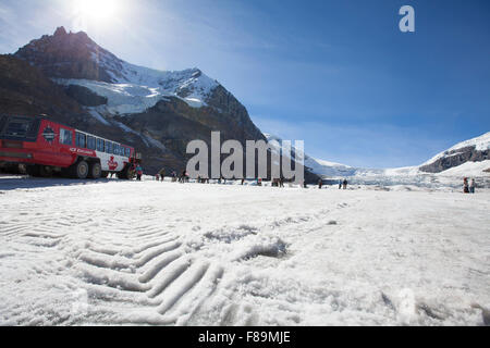 Columbia campi di ghiaccio ghiacciai in Alberta Canada Foto Stock