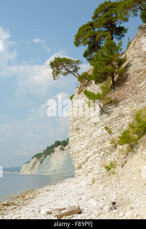 Paesaggio, Spiaggia, costa meridionale del Caucaso, il blu del mare, rocce, montagne, crepe nelle rocce, alberi di pino sulle rocce Foto Stock