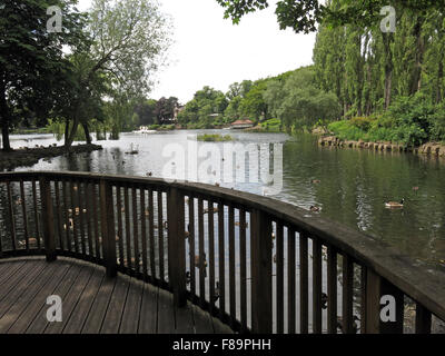 Walsall Arboretum lago d'estate, West Midlands, England, Regno Unito Foto Stock