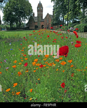 Walsall Arboretum in estate, West Midlands, England, Regno Unito Foto Stock