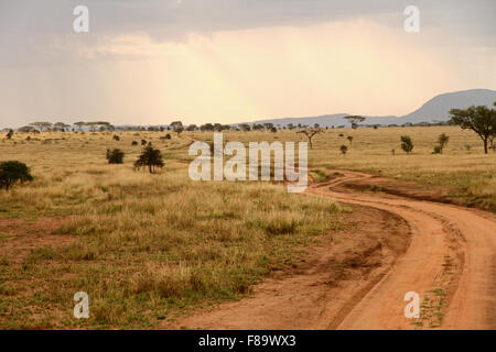 Una strada sterrata che si snoda attraverso la savana africana Foto Stock