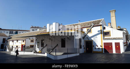 Nunez de Prado fabbrica d'olio d'oliva Baena, Spagna Foto Stock