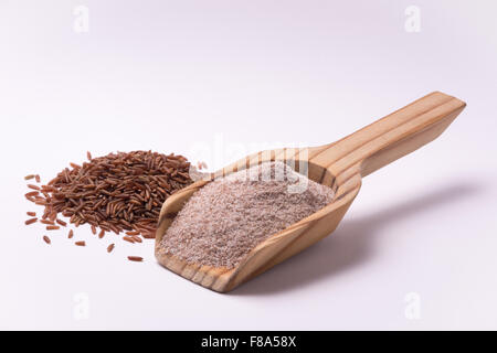 Farina di riso rosso falasco ermes Foto Stock