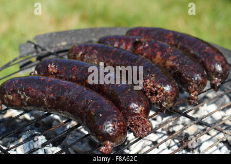 Grigliare salsicce di sangue su barbecue grill Foto Stock