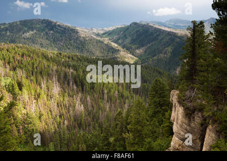 Tempeste sopra le foreste del Wyoming Range, Bridger-Teton National Forest, Wyoming Foto Stock