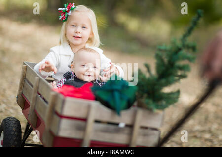 Baby fratello e sorella di essere tirato in carro con albero di Natale e regali all'esterno. Foto Stock