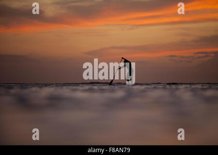 Stand Up Paddle boarder paddling Ala Moana Beach Park al crepuscolo. Girato a basso angolo mentre in acqua. Foto Stock