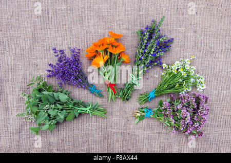 Bundle di appena raccolto varie erbe medicinali immessi sul background di lino Foto Stock