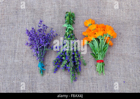 Tre fasci legati di appena raccolte erbe mediche poste su sfondo di lino Foto Stock
