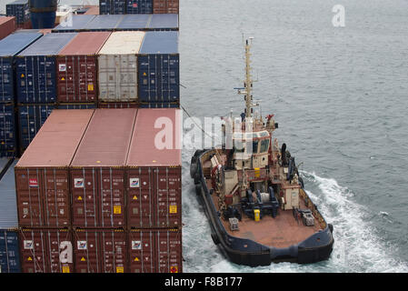 Rimorchiatore si prepara a escort Utrillo nave portacontainer nel porto di Sydney, Australia. Foto Stock