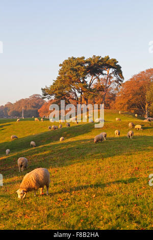 Autunnale di scena in Winchelsea, East Sussex, Regno Unito Foto Stock