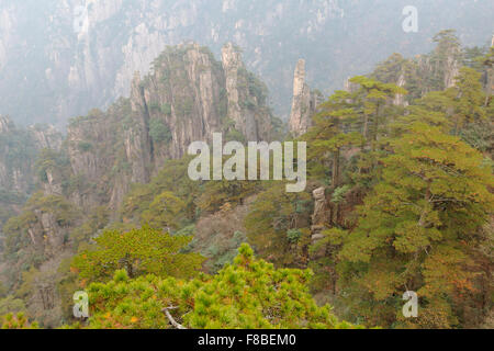 Montagne di giallo (Huangshan) provincia di Anhui Cina LA008646 Foto Stock