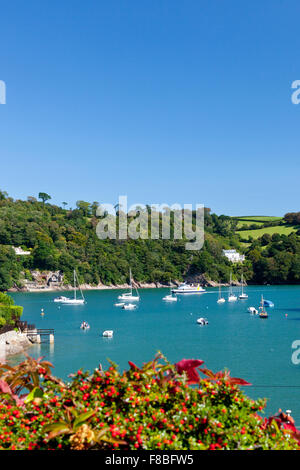 Guardando fuori dal riparo Warfleet Cove al fiume Dart a Dartmouth, Devon, Inghilterra, Regno Unito Foto Stock