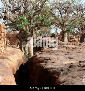 Baobab, villaggio Dogon Idjeli, Mali. Foto Stock