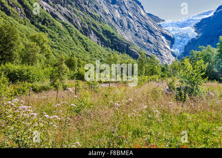 Il Ghiacciaio Briksdal Jostedalsbreen parco nazionale in Norvegia Foto Stock