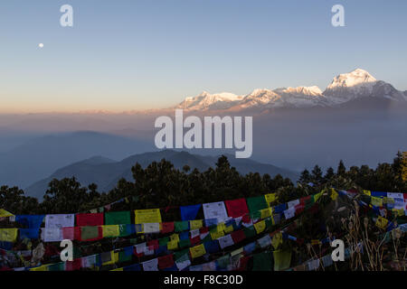 Tramonto e luna piena con vista della montagna Dhaulagiri da Poon Hill sul circuito di Annapurna. Foto Stock