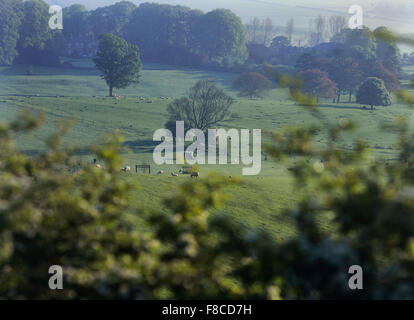 Lincolnshire Wolds visto dal Bluestone Heath Road. Lincolnshire. In Inghilterra. Regno Unito. Europa Foto Stock