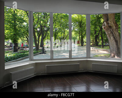 Finestre in plastica che si affaccia sul parco della città con grandi alberi Foto Stock