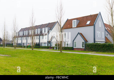 Fila di case semi staccate nei Paesi Bassi Foto Stock