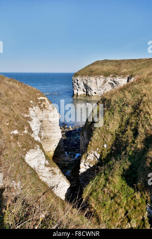 A nord di atterraggio; Flamborough; Yorkshire; Regno Unito Foto Stock