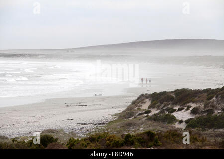 Tre persone che camminano in una nebbiosa spiaggia a Paternoster nella Western Cape del Sud Africa Foto Stock