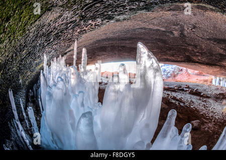Forme di ghiaccio in corrispondenza di una molla, Arches National Park nello Utah, rare forme di ghiaccio dopo periodi di freddo intenso Foto Stock