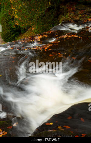 Ridendo coregoni cade, ridendo coregoni cade stato sito panoramico, Michigan Foto Stock