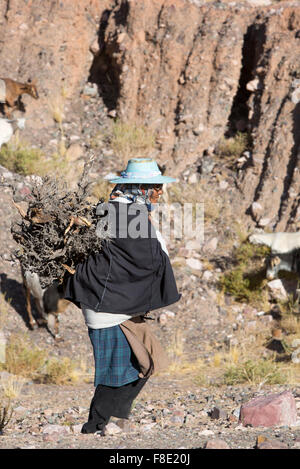 Donna indigena con pastore sulla Ruta 40, Jujuy. Argentina Foto Stock