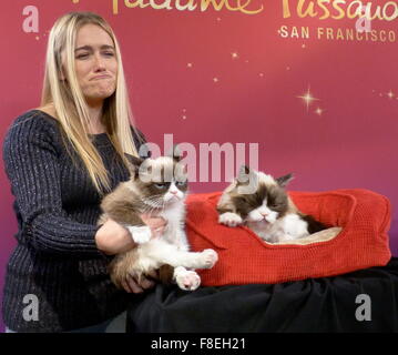 San Francisco, California, Stati Uniti d'America. 08 Dic, 2015. Il proprietario di 'scontroso gatto, ' Tabatha Bundesen (30), fa un burbero faccia come lei tiene i suoi tre-anno-vecchio gatto di casa 'scontroso gatto' (L) accanto alla sua nuova replica realizzati in fibra di vetro, silicio, e finti capelli nel museo delle cere di Madame Tussauds a San Francisco, California, Stati Uniti d'America, 08 dicembre 2015. Foto: Barbara MUNKER/dpa/Alamy Live News Foto Stock