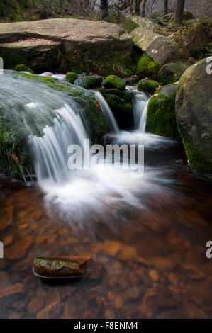 Cascata a medio nero Clough, Woodhead, Derbyshire, in Inghilterra. Foto Stock