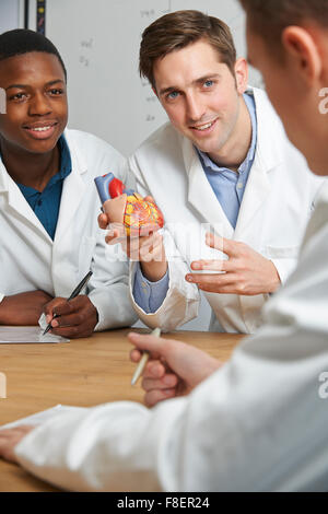 Insegnante con il modello di cuore nella lezione di biologia Foto Stock