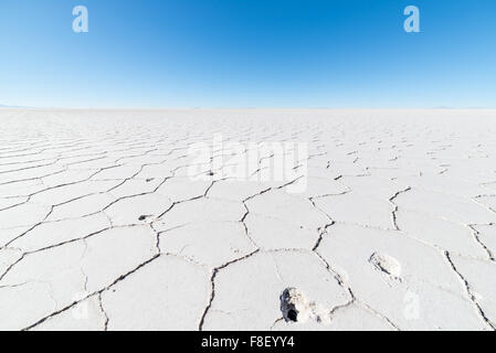 Ampio angolo di visione del mondo famose sale di Uyuni piatto, tra le più importanti destinazioni di viaggio sulle Ande boliviane. Close up Foto Stock