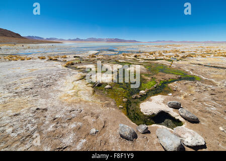 Coloratissima primavera calda con depositi di minerali e alghe su altipiani andini, Bolivia. Salt Lake, montagne e vulcani Foto Stock