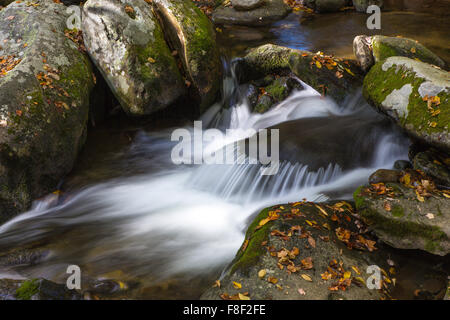 Una piccola cascata sulla forcella ruggente torrente di montagna sulla Roaring Fork Motor Sentiero Natura nel Parco Nazionale di Great Smoky Mountains TN Foto Stock