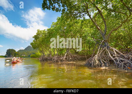 La foresta di mangrovie - turisti vela al fianco di foresta di mangrovie, Phang Nga Bay, provincia di Krabi, Thailandia Foto Stock