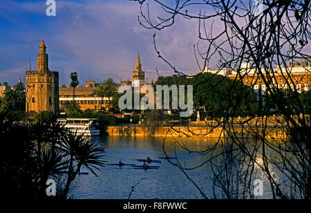 Sevilla: Gold Tower e la torre Giralda, come si vede dal Fiume Guadalquivir Foto Stock
