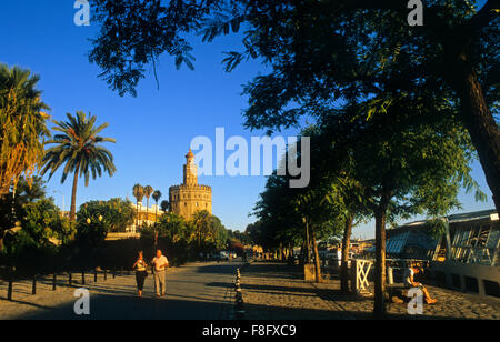 Paseo Alcalde Marqués del Contadero, in background Gold tower. Siviglia, in Andalusia, Spagna. Foto Stock