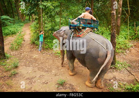 Corsa su elefante nella foresta tropicale, Khao Lak National Park, Thailandia Foto Stock