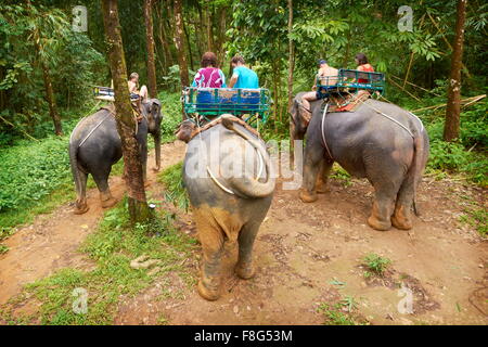 Thailandia - equitazione elefante nella foresta tropicale Foto Stock