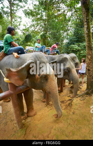 Thailandia - Provincia di Krabi, Khao Lak National Park, elefante in attesa per i turisti Foto Stock