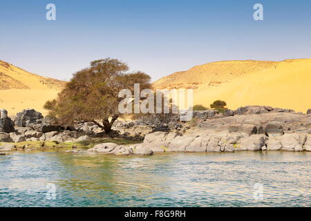 Egitto - banca del fiume Nilo, area protetta della Prima Cataratta Foto Stock