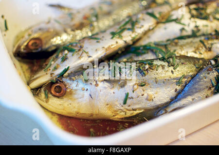 Essendo Mackerls marinato alla griglia più tardi Foto Stock