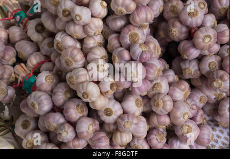 Close up di pelo di bulbi di aglio Foto Stock