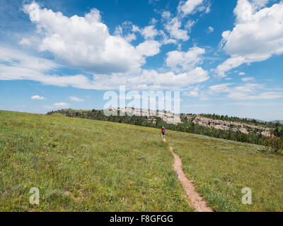 Giapponese lontani gli escursionisti a piedi sul percorso di sporcizia Foto Stock