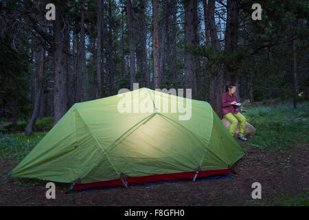 Donna giapponese utilizzando il portatile in campeggio Foto Stock