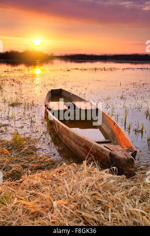Sunrise paesaggio di Biebrza National Park, Polonia Foto Stock