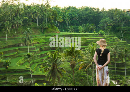 Caucasica ammirando turistico rurale terrazza di riso, Ubud, Bali, Indonesia Foto Stock