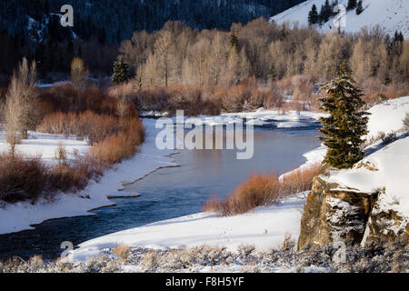 Il Gros Ventre fiume scorre passato lussureggiante vegetazione ripariale lungo i confini del Parco Nazionale di Grand Teton, Wyoming. Foto Stock