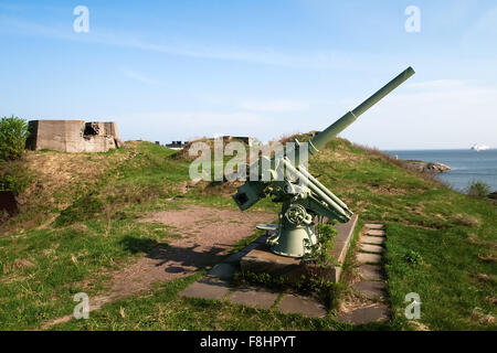 Anti-aerei pistola sullo sfondo del mare blu in Scandinavia Foto Stock