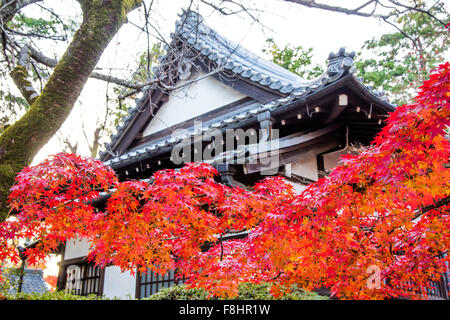 Tempio Gotokuji,Setagaya-Ku,Tokyo Giappone Foto Stock